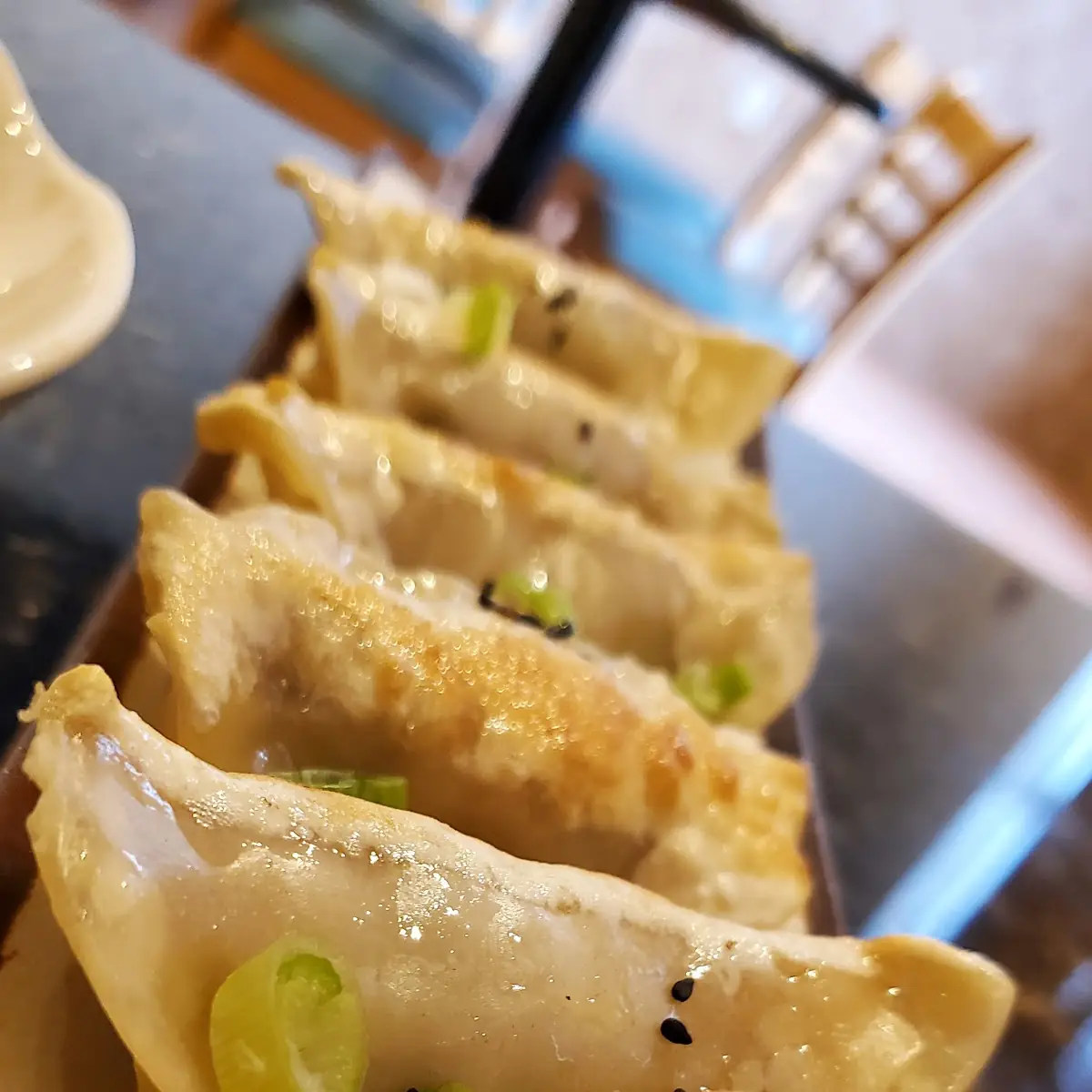 Pan-Fried Pot Stickers 6 锅贴